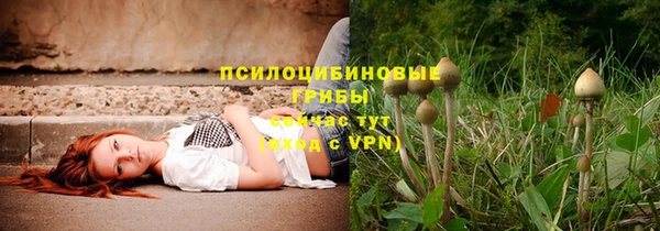PSILOCYBIN Верхнеуральск