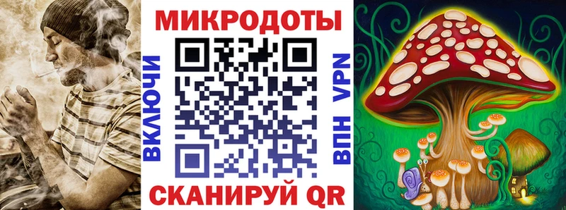 сколько стоит  Элиста  Псилоцибиновые грибы мухоморы 